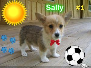 Sally-LifetimeGuarantee