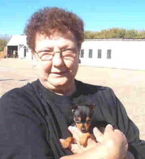 anallblackdobermanpuppyseekingforrehoming