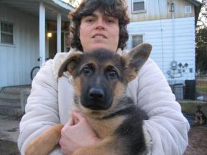 germanshepherdpups